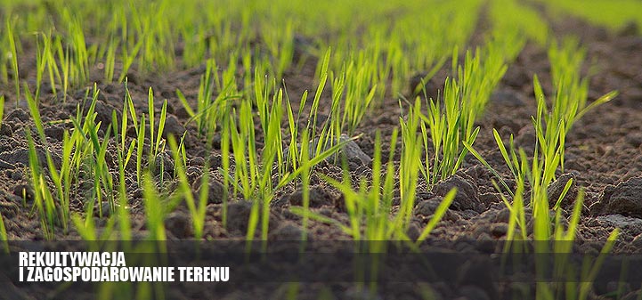 rekultywacja i zagospodarowanie terenu